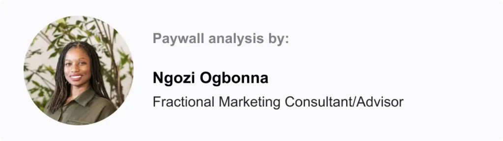 Paywall Newsletter Expert