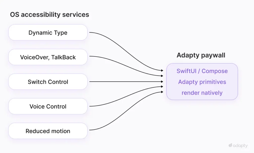 Diagram showing five OS accessibility services (Dynamic Type, VoiceOver, Switch Control, Voice Control, reduced motion) flowing into Adapty's native paywall layer. The paywall inherits accessibility from the OS without per-primitive code.