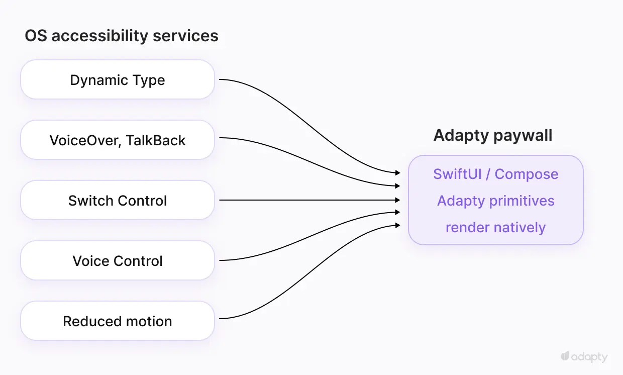 Diagram showing five OS accessibility services (Dynamic Type, VoiceOver, Switch Control, Voice Control, reduced motion) flowing into Adapty's native paywall layer. The paywall inherits accessibility from the OS without per-primitive code.