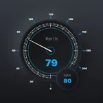 GPS Speedometer & Mile Tracker