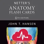 Netters Anatomy Flash Cards