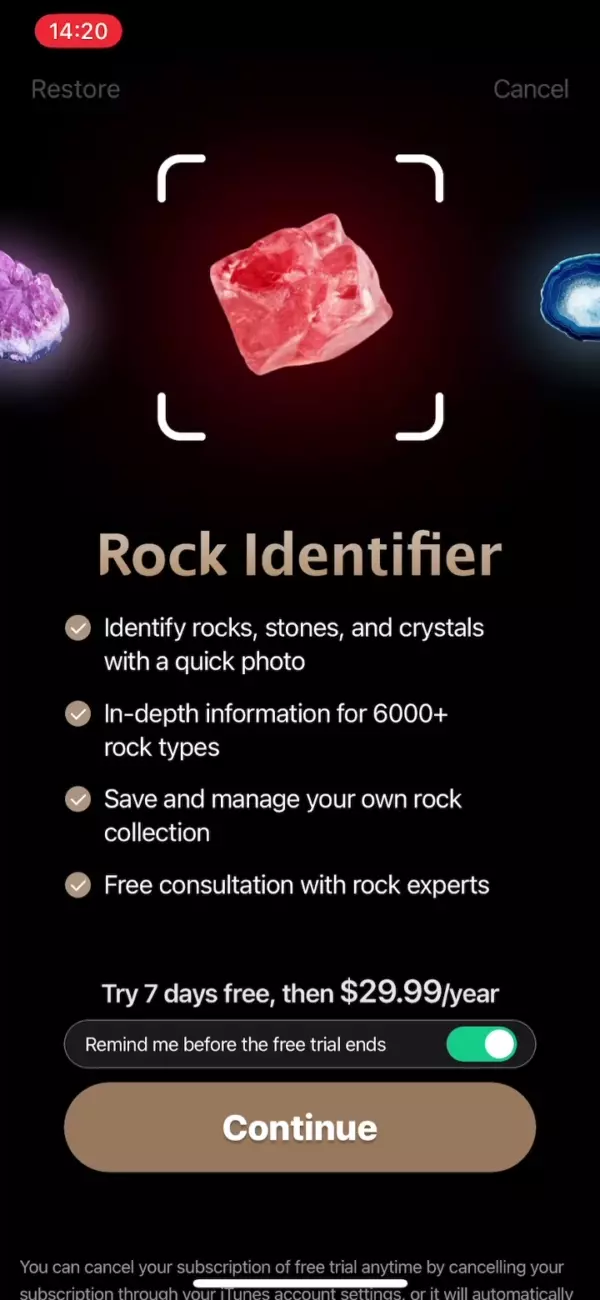 The paywall screen of the Rock Identifier app