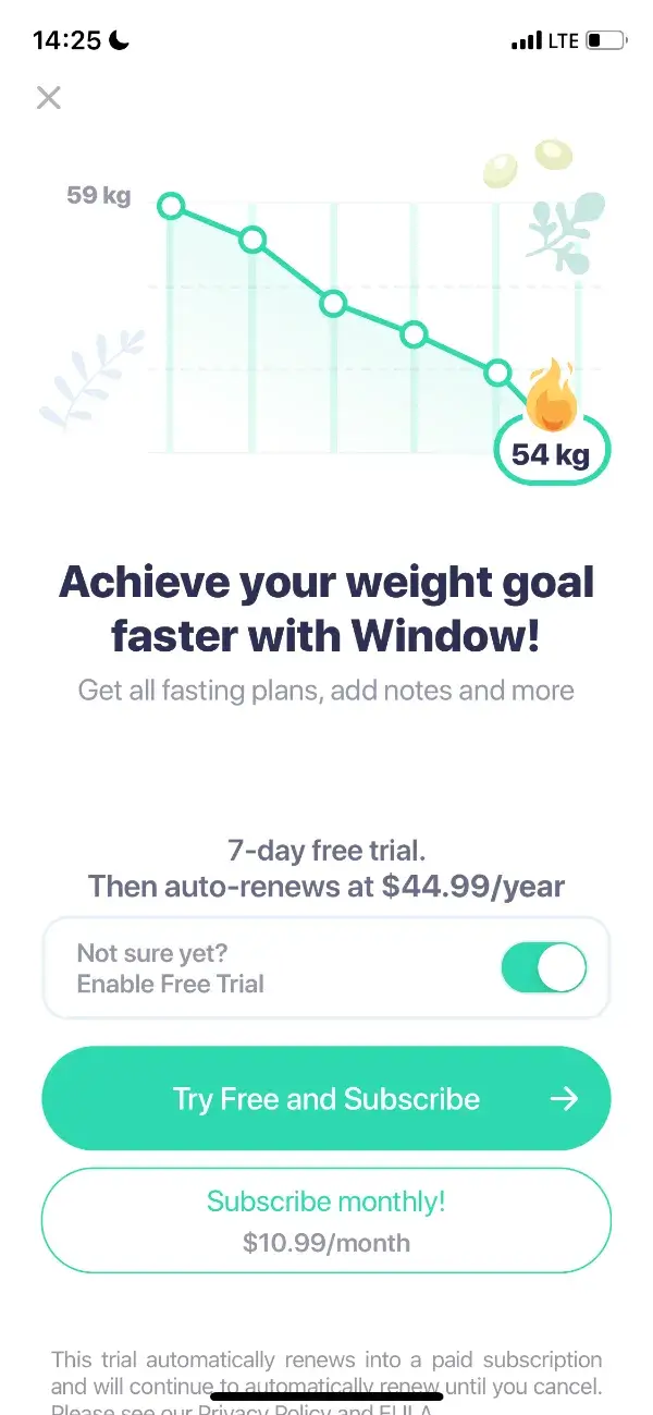 The paywall screen of the Window app