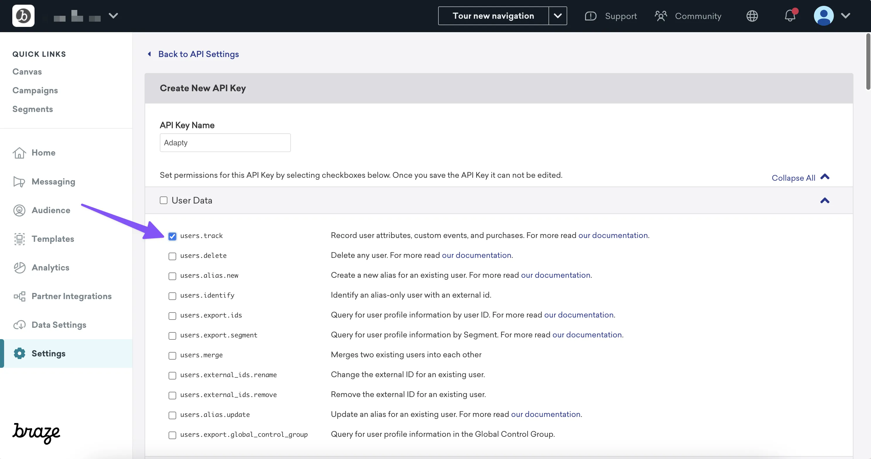 1e5b4b8-adapty_braze_api_key_users_track.webp