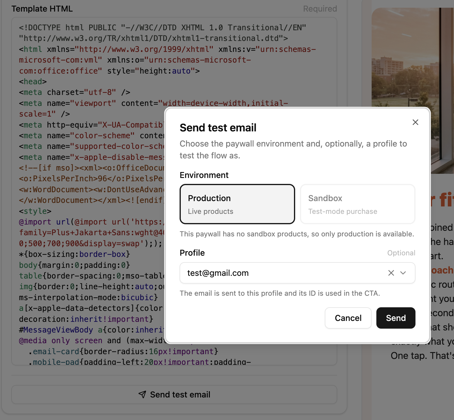 Send test email modal with Sandbox unavailable and a profile selected