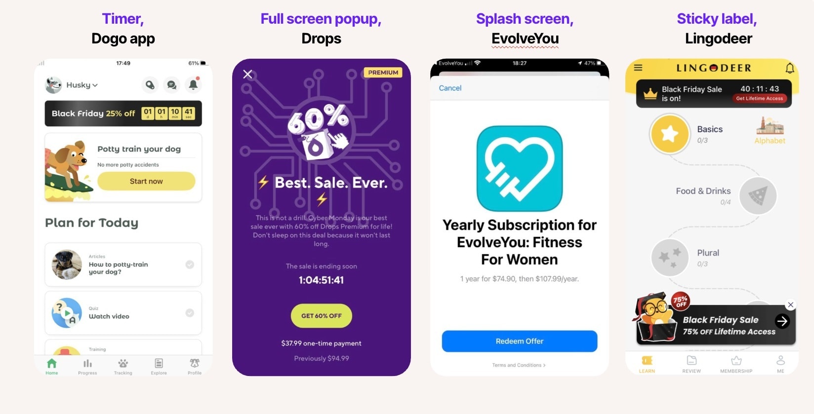 Friday holiday paywall examples 5