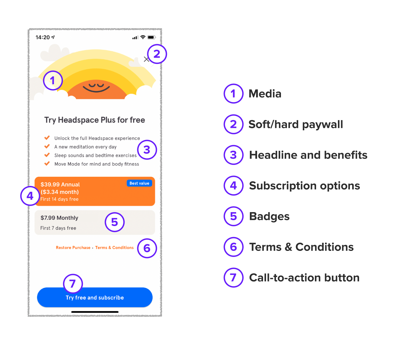 Apple On Scale Metric Image & Photo (Free Trial)