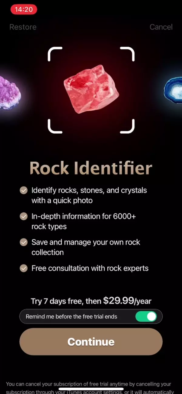 a mobile paywall design example by Rock Identifier from Education category