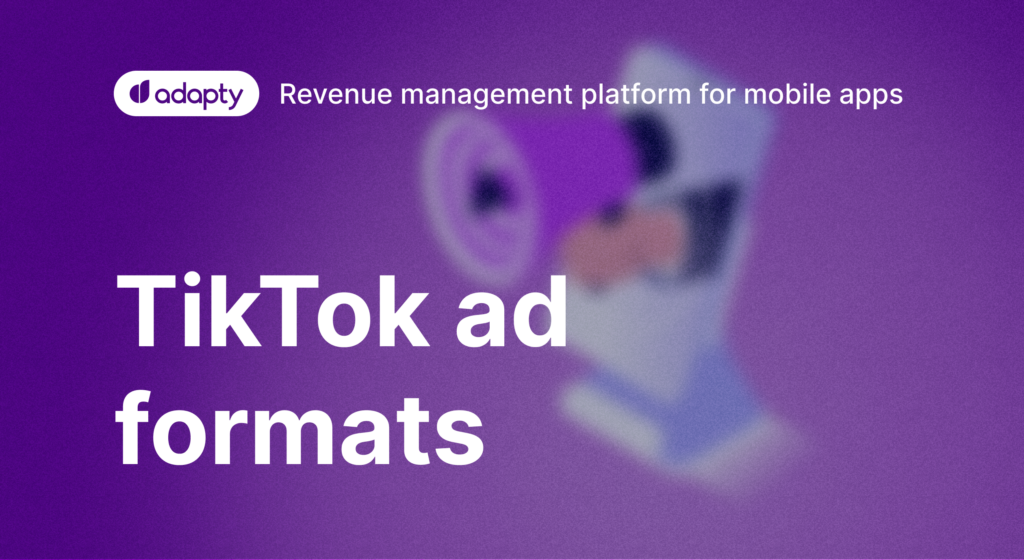 TikTok Ad Formats 2024